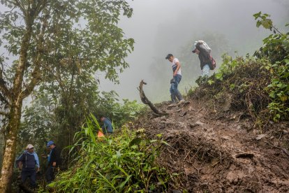 Diferentes entidades laboran para atender la emergencia