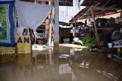 Moradores temen por las culebras que aparecen en el sector.
