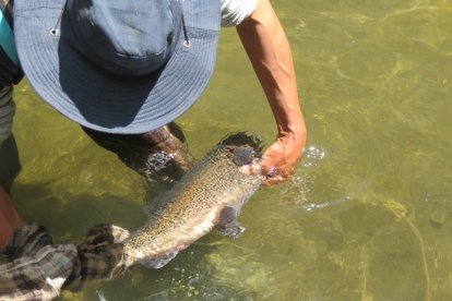 Los visitantes pueden capturar los peces y pedir que se los preparen.