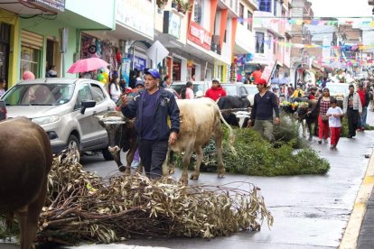 En el recorrido, los animales llevaban ramas para avivar la fogata.