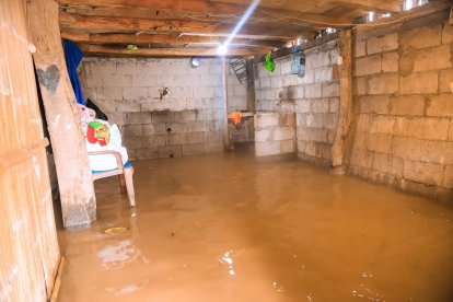 Algunas familias tienen sus casas convertidas en pozas.