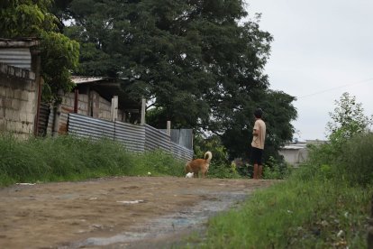 El cuerpo fue hallado a 150 metros de distancia de la cabeza.