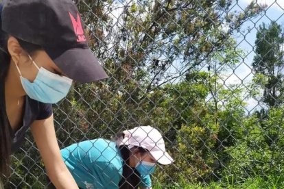Los vecinos también harán limpieza de maleza durante la minga.