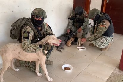 Los uniformados se dan tiempo para alimentar y atender a los canes.