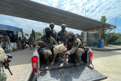 Una de las perras llevada por los uniformados a uno de los recorridos.