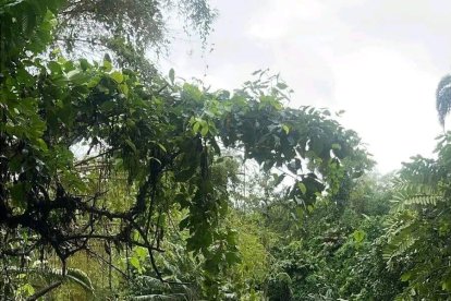 Así quedó la ambulancia