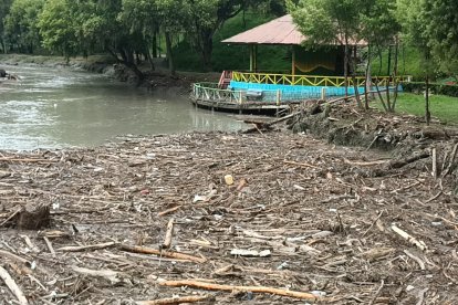 Estragos en el Parque de la Tebaida.