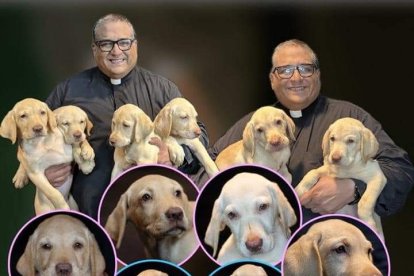 Este fue el anuncio que se publicó en X. Los canes posaron coquetamente para  fotos.
