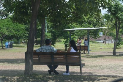 En Guayaquil, el Municipio tiene un presupuesto aprobado de aproximadamente 9 millones de dólares para manejar los parques y las áreas verdes