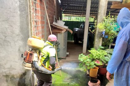 Los trabajos para combatir el dengue en Loja se intensificaron.