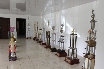 Varios de los trofeos de los puros criollos estaban en el piso de la sede.