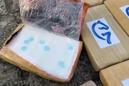 Con el examen químico se comprobó que la droga transportada era cocaína.