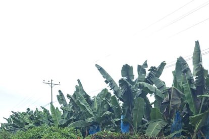 La camioneta doble cabina quedó en escombros por el fuego.