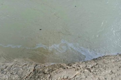 La mancha en el río.