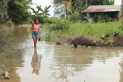 Los habitantes caminan en agua empozada y entre animales.