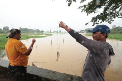 La pesca es la única forma de subsistencia que tienen los agricultores que han perdido sus sembríos.