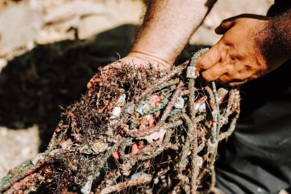 La actividad fue realizada en conjunto a autoridades internacionales.