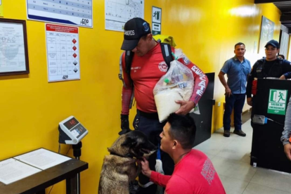 La can Akira fue clave para el rescate