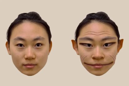 Otro ejemplo de cómo ve los rostros una persona con PMO.