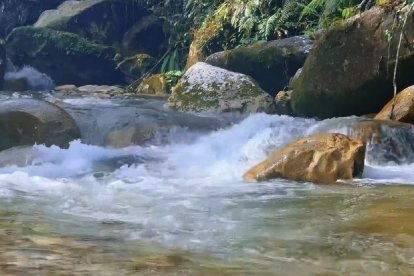 Las cristalinas aguas de su río invita a refrescarse.