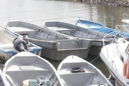 El Coguar ha incautado varias embarcaciones durante las acciones operativas que ejecuta el personal.