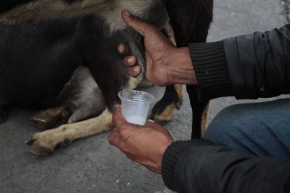 El vaso grande de la leche de chiva 
cuesta un dólar.