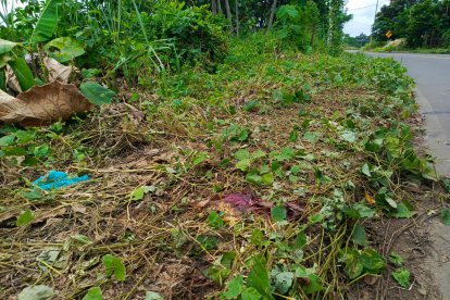 La escena del crimen, en Los Ríos