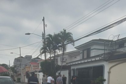 La Dirección de Bienestar Animal llegó en la mañana del domingo.