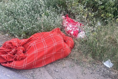 Las víctimas estaban con las manos y pies amarrados.