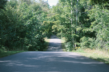 Referencial: el cadáver estaba en una zona desolada.
