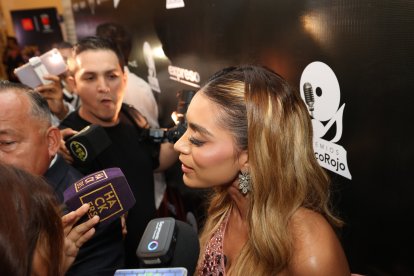 Andreína hablando para los medios de comunicación.