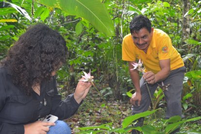 En esta finca que hace 24 años era un potrero  se puede ver diversidad de flora.