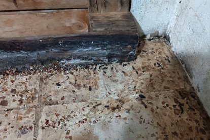 En el piso de la fábrica se encontraba muy sucio.