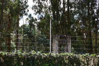 Esta cámara registró el presunto secuestro.