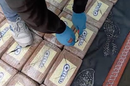 La sustancia estaba camuflada