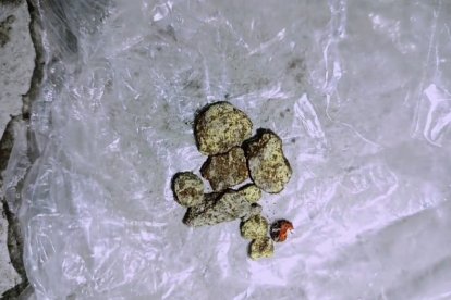 Estos pedazos de hueso se mezclaron con la tierra.