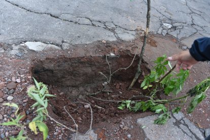 Moradores tuvieron que colocar palos para alertar a los conductores.