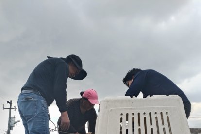 Rescate animal brinda asesoría de tratos en estos animales.