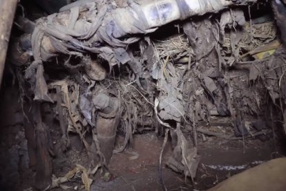 Interiores de la casa de Callitxe Nzamwita