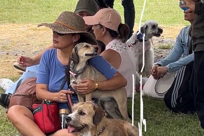 La feria está abierta hasta las 17:00.