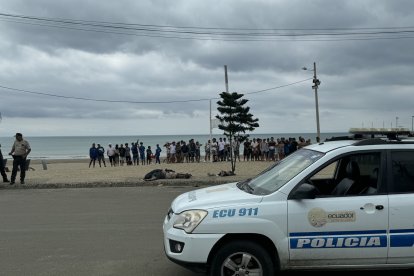 Jaramijó. El 26 de mayo, dos hombres fueron asesinados en la playa El Fondeadero, durante una misa campal.
