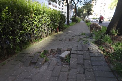 Esta es una zona peatonal de la avenida González Suárez, una de las zonas de más alta plusvalía en Quito.