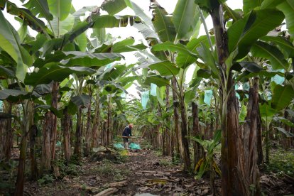 Durante cuatro meses se han dado estos extraños casos.