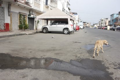 El cuerpo del hombre quedó en la calzada.