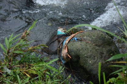 Este tipo de desechos se quedan impregnados en las rocas de los afluentes.