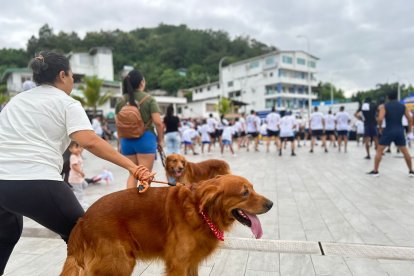 Hasta perritos se unieron a la carrera