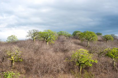 Referencial: a padre e hijo los asesinaron en zona rural de Chone.