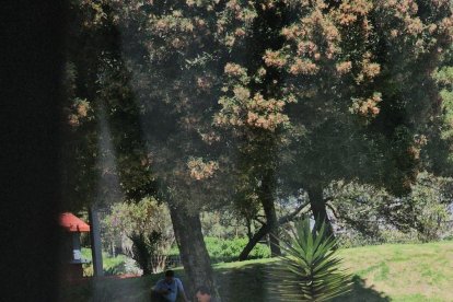 Reportan que taxistas se abastecerían en la vía pública, en Quito.