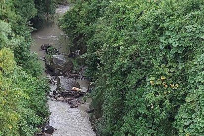 Los bomberos descendieron al río para sacar al perrito.