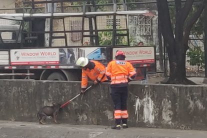 El can fue rescatado después de varias horas en la zanja.